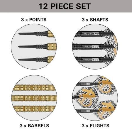 Target - darts Šipky Bolide Envy 10 - 18g
