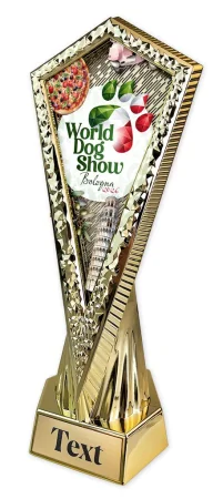 Sportovní trofej WDS2026 - AY 1