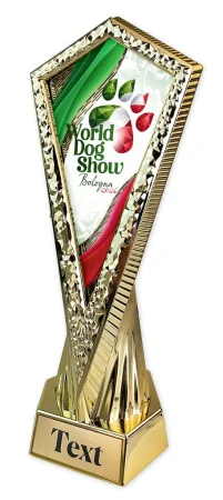Sportovní trofej WDS2026 - AY 2
