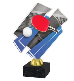 Akrylátová trofej ACZM07 Výška cm: 20,5, Barva: stříbro, Podstavec: černý