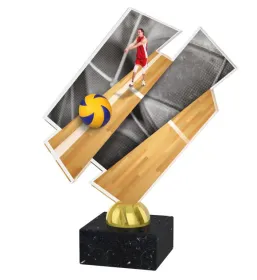 Akrylátová trofej ACZM10 Výška cm: 21,5, Barva: stříbro, Podstavec: černý