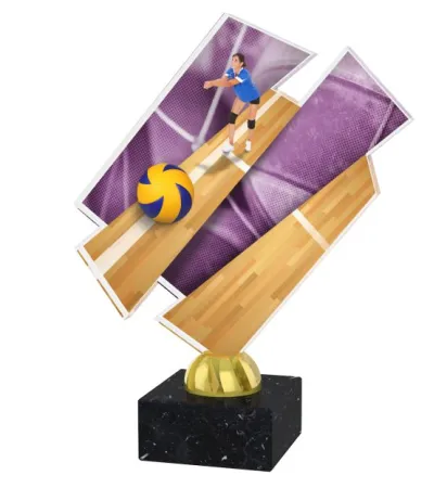 Akrylátová trofej ACZM11 Výška cm: 19,5, Barva: stříbro, Podstavec: bílý