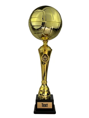 Trofej Voleyball TL2025/01 | Voleyball Výška cm: 36