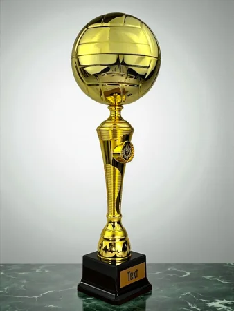 Trofej Voleyball TL2025/01 | Voleyball Výška cm: 36