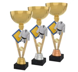 Akrylátová trofej ACUPGOLD M15 | Bojová umění Výška cm: 37, Průměr cm: 14, Barva: stříbro, Podstavec: bílý