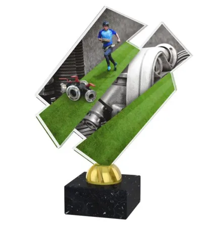 Akrylátová trofej ACZM21 Výška cm: 21,5, Barva: stříbro, Podstavec: bílý