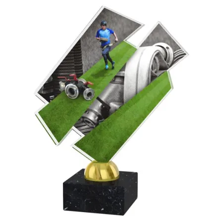 Akrylátová trofej ACZM21 Výška cm: 21,5, Barva: stříbro, Podstavec: bílý