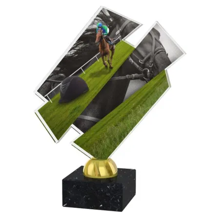 Akrylátová trofej ACZM29 | Jezdectví Výška cm: 21,5, Barva: bronz, Podstavec: černý