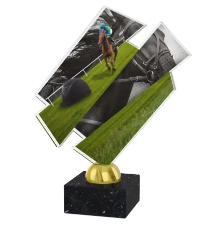 Akrylátová trofej ACZM29 | Jezdectví Výška cm: 21,5, Barva: bronz, Podstavec: černý