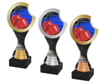 Akrylátová trofej ACBTM15 | Bojová umění Výška cm: 26,5, Barva: stříbro