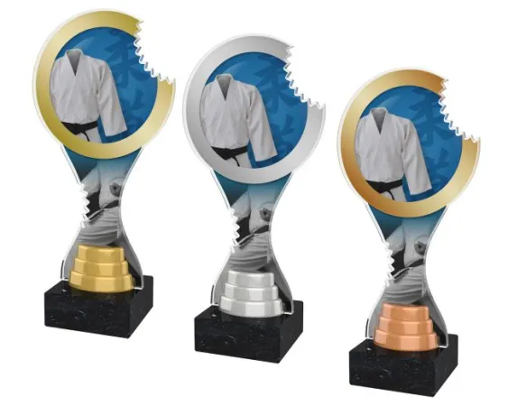 Akrylátová trofej ACBTM26 | Bojová umění Výška cm: 25, Barva: stříbro