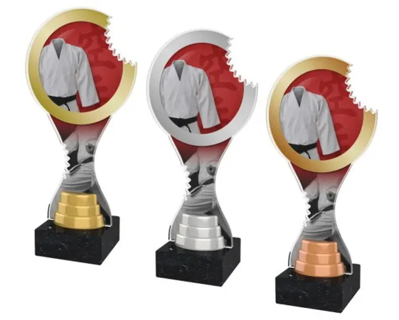 Akrylátová trofej ACBTM27 | Bojová umění Výška cm: 26,5, Barva: bronz