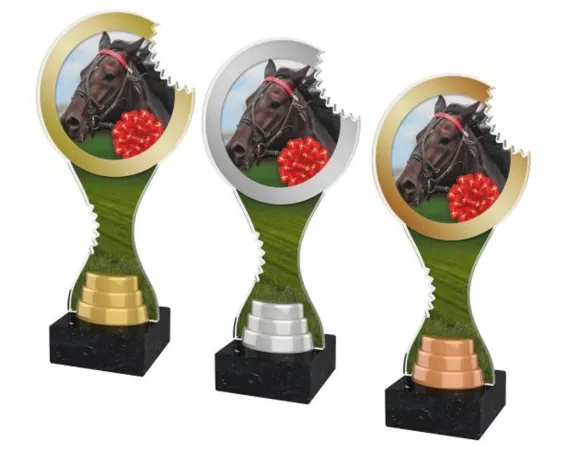 Akrylátová trofej ACBTM30 | Jezdectví Výška cm: 25, Barva: stříbro
