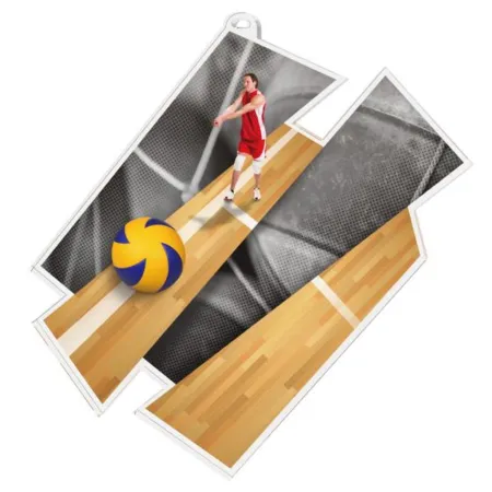 Akrylátová medaile MDAZ0011M10 | Volejbal Průměr cm: 8, Stuha: ST15