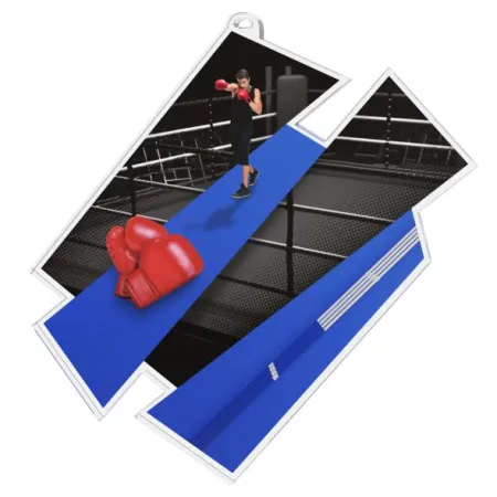 Akrylátová medaile MDAZ0011M25 | Bojová umění Průměr cm: 9, Stuha: ST6