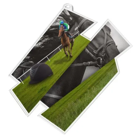 Akrylátová medaile MDAZ0011M29 | Jezdectví Průměr cm: 9, Stuha: ST15