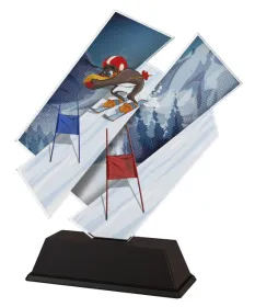 Akrylátová trofej ACZCS001M7 | Sjezdové lyžování Výška cm: 19, Šířka cm: 16.5