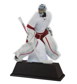 Akrylátová trofej FAH001M4 | Hokej