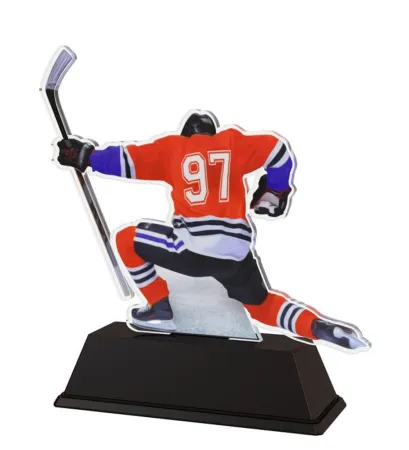 Akrylátová trofej FAH001M5 | Hokej