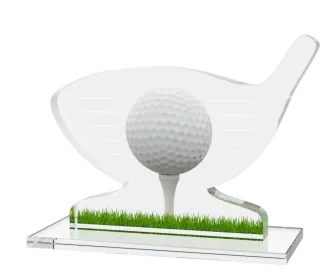 Akrylátová trofej CGTS003 Výška cm: 11, Šířka cm: 15