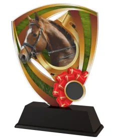Akrylátová trofej CACUF001M26 | Jezdectví Výška cm: 13, Šířka cm: 8