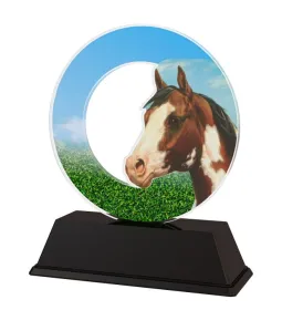 Akrylátová trofej ACLC2101M22 | Jezdectví Výška cm: 13, Šířka cm: 10