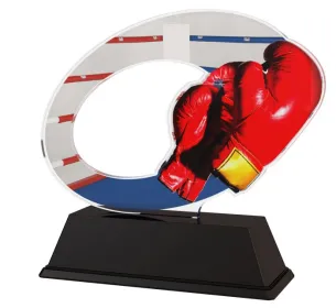 Akrylátová trofej ACLC2102M15 | Bojová umění Výška cm: 11, Šířka cm: 10.5