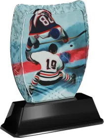 Akrylátová trofej ACE2018M06 | Hokej Výška cm: 16