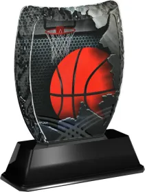 Akrylátová trofej ACE2018M08 | Basketball Výška cm: 16