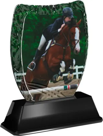 Akrylátová trofej ACE2018M34 | Jezdectví Výška cm: 14