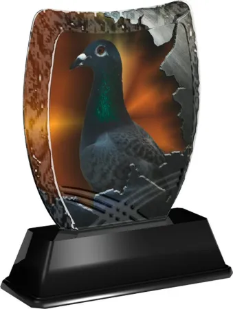 Akrylátová trofej ACE2018M37 | Chovatelství Výška cm: 14