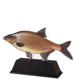 Akrylátová trofej FA210M27 | Rybaření Výška cm: 13.5, Šířka cm: 16.5
