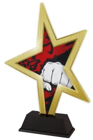 Akrylátová trofej STAR002M15 | Bojová umění Výška cm: 21, Šířka cm: 14.5
