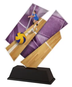 Akrylátová trofej ACZC001M11 | Volejbal Výška cm: 16, Šířka cm: 15