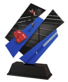 Akrylátová trofej ACZC001M25 | Bojová umění Výška cm: 19, Šířka cm: 16.5