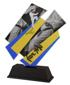 Akrylátová trofej ACZC001M32 | Bojová umění Výška cm: 16, Šířka cm: 15