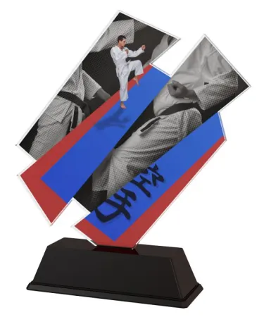 Akrylátová trofej ACZC001M33 | Bojová umění Výška cm: 15, Šířka cm: 14.5