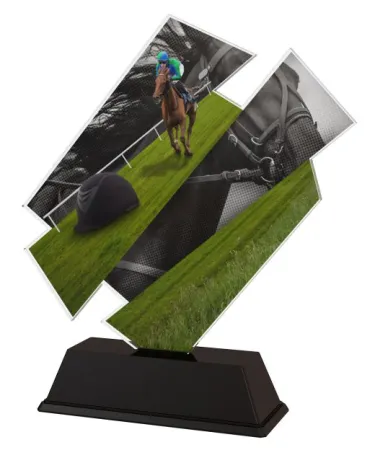 Akrylátová trofej ACZC001M29 | Jezdectví Výška cm: 16, Šířka cm: 15