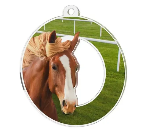 Akrylátová medaile MDA0020M82 | Jezdectví Stuha: ST16, MD průměr: 5