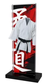 Akrylátová trofej APLAM50 | Bojová umění Výška cm: 20, Šířka cm: 9