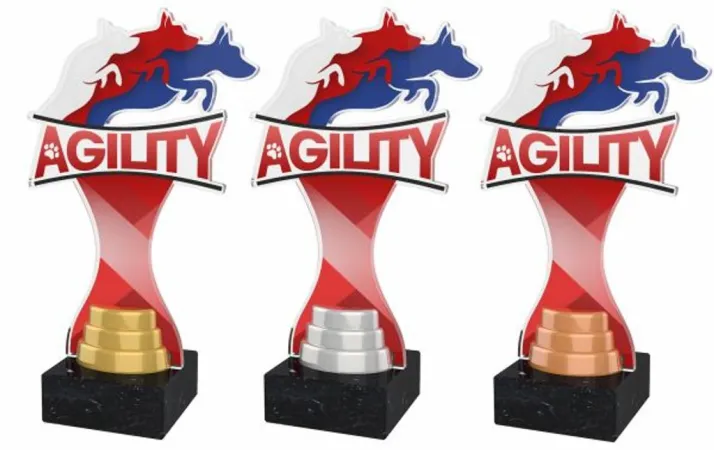 Akrylátová trofej ACBTM41 | Kynologie Výška cm: 26,5, Barva: stříbro