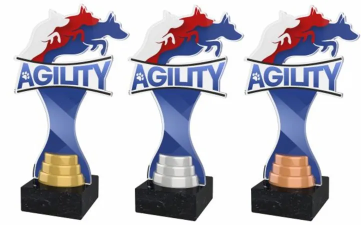 Akrylátová trofej ACBTM42 | Kynologie Výška cm: 26,5, Barva: stříbro