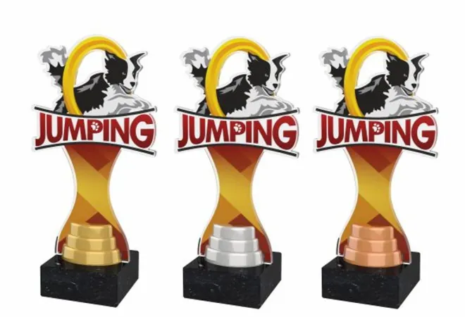 Akrylátová trofej ACBTM47 | Kynologie Výška cm: 23,5, Barva: stříbro