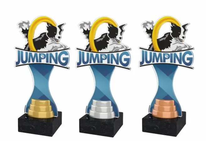 Akrylátová trofej ACBTM49 Výška cm: 23,5, Barva: zlato