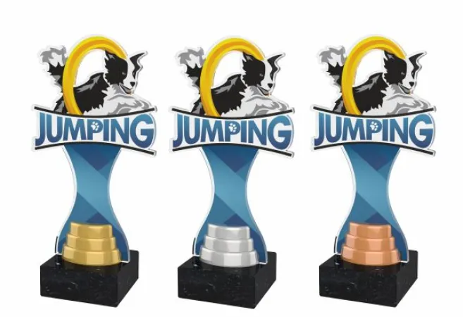 Akrylátová trofej ACBTM49 Výška cm: 23,5, Barva: zlato