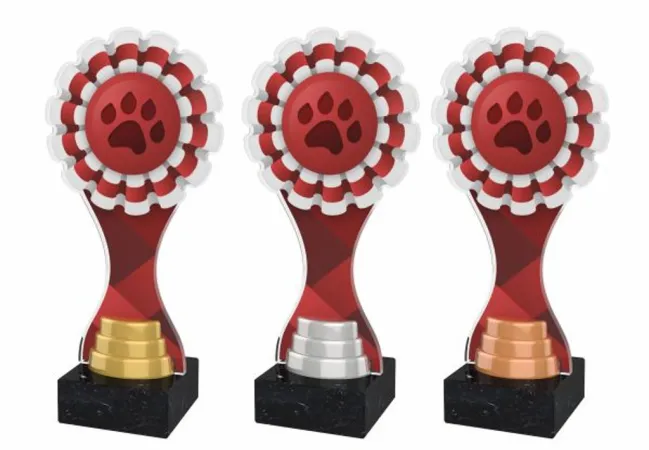 Akrylátová trofej ACBTM51 Výška cm: 26,5, Barva: zlato