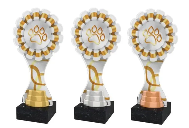 Akrylátová trofej ACBTM55 | Kynologie Výška cm: 25, Barva: stříbro