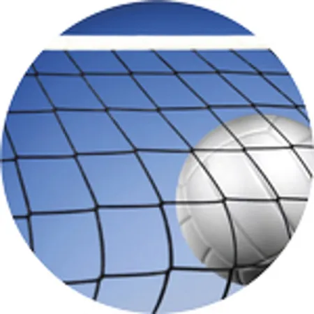 Emblém ES102 | Volejbal Průměr cm: 2,5