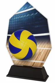 Akrylátová trofej ACSC001M15 | Volejbal Výška cm: 17.5, Šířka cm: 11.5