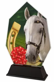Akrylátová trofej ACSC001M30 | Jezdectví Výška cm: 11.5, Šířka cm: 7